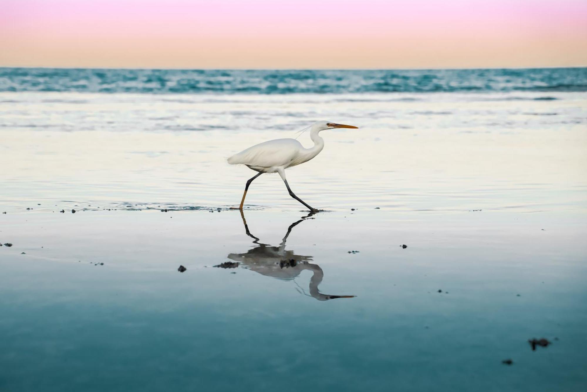 Готель Sentido Akassia Beach El Qoseir Екстер'єр фото